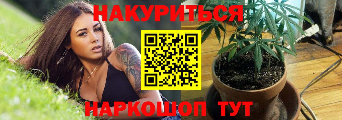 Марихуана SATIVA & INDICA Мичуринск